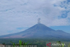 Gunung Semeru Kembali Erupsi, Ketinggian Letusan Mencapai 1.000 Meter