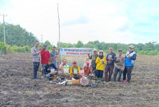 Bibit Jagung  Ditebar Di Lahan 2 Hektar, Polsek Muara Kuang Dukung Program Ketahanan Pangan