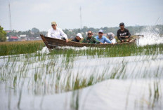 Dukung Ketahanan Pangan, Danrem 044/Gapo Dampingi Itjen Kementan Tinjau Cetak Sawah 2026