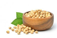 10 Khasiat Kacang Kedelai dan Risiko Efek Sampingnya