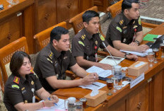 Amsal Sitepu Bebas, Kajari Karo Minta Maaf di Hadapan Komisi III DPR 