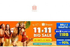  Shopee 11.11 Big Sale Makin Meriah bersama no na, Ada Flash Sale 11RB hingga Diskon 90 Persen!