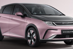 Mobil Listrik BYD Dolphin : Tampilan Stylish dengan Jarak Tempuh Memuaskan