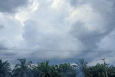 Prakiraan Cuaca Sumsel Hari Senin 26 Januari 2026 : Potensi Hujan Ringan, Sebagian Wilayah Berawan