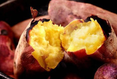 Simak! Inilah waktu yang Tepat untuk Mengukus Ubi Jalar agar Teksturnya Pas 