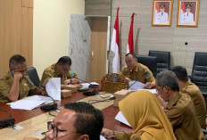 Pemkab Ogan Ilir Siap Wujudkan ASN Profesional Melalui Komite Talenta