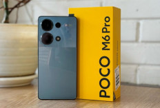 POCO M6 Pro : Dibekali Layar AMOLED dengan Refresh Rate 120Hz