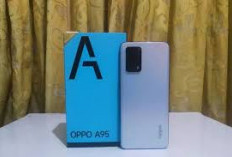OPPO A95 : Disupport Performa Handal Snapdragon 662 dan RAM Besar
