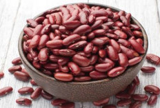 Simak! Inilah 6 Manfaat Kacang Merah bagi Kesehatan Tubuh