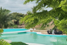 Wisata Baru Saung Desa Pulau Negara : Keindahan Ogan Ilir