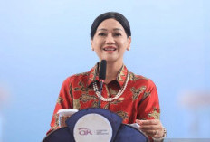 Ini Profil Friderica Widyasari Dewi, Plt Ketua OJK