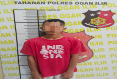 Pelajar Dicabuli Bujangan di Teluk Seruo Ogan Illr, Berawal Dari Perkenalan Aplikasi OMI