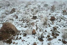 Salju Turun di Arab Saudi, Warga Berbondong-bondong Abadikan Momen Langka