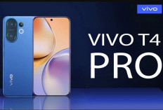 Vivo T4 Pro : Disupport Layar AMOLED dengan Kecerahan 5000 Nits